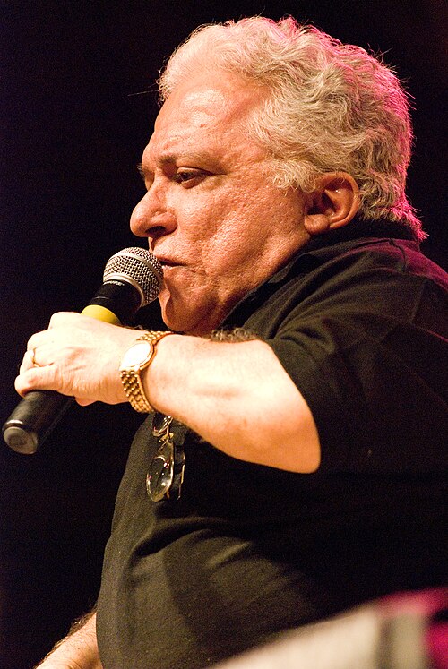 Nelson Ned